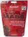 MUSCLEMEDS - CARNIVOR MASS - ANABOLIC BEEF PROTEIN GAINER - 10,7 LBS - 4850 G