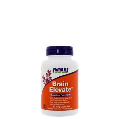NOW - BRAIN ELEVATE - WITH GINKGO, ROSEOX AND PHOSPHATIDYL SERINE - 120 KAPSZULA