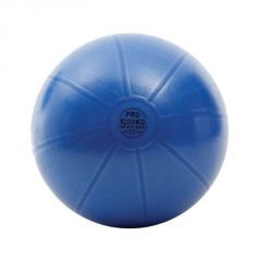 TOORX FITNESS - GYM BALL PRO - EDZŐTERMI MINŐSÉGŰ FITNESZ LABDA - 55 CM
