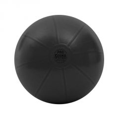 TOORX FITNESS - GYM BALL PRO - EDZŐTERMI MINŐSÉGŰ FITNESZ LABDA - 65 CM