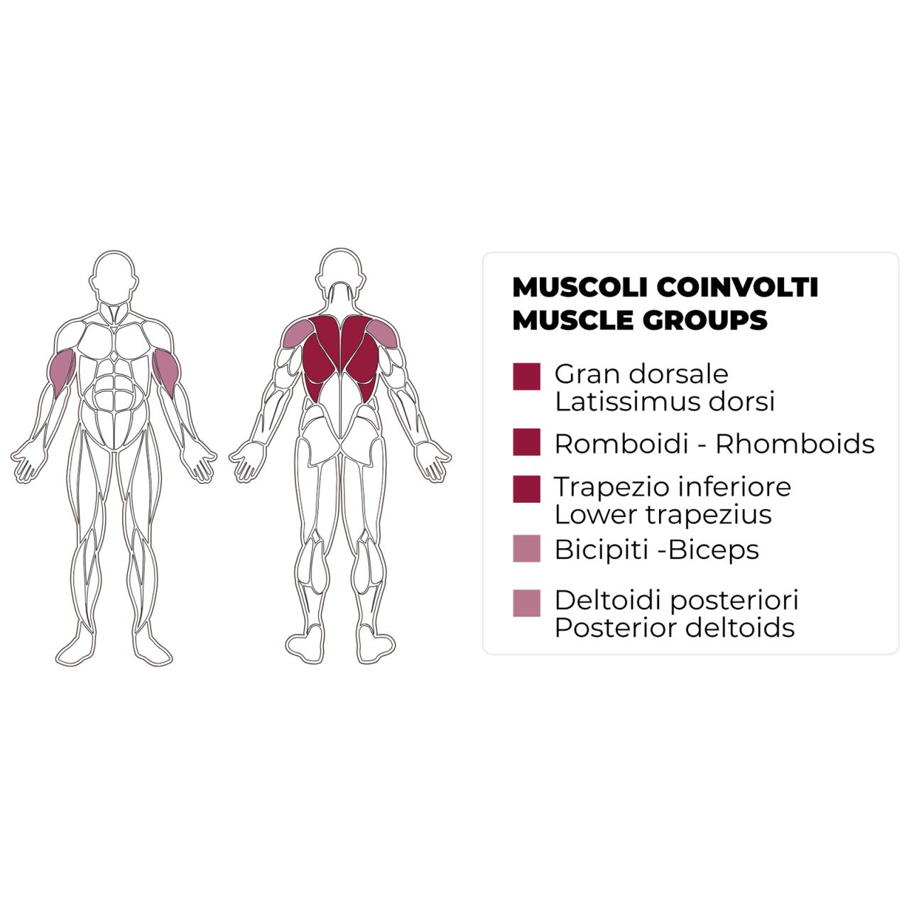 TOORX FITNESS - LTX-3000 KOMBINÁLT ALSÓ-FELSŐ CSIGÁS HÁTGÉP 90 KG LAPSÚLLYAL