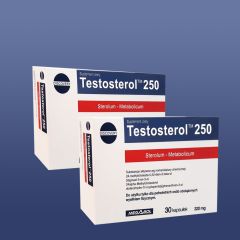 MEGABOL - TESTOSTEROL 250 - TERMÉSZETES ANABOLIZÁTOR NÖVÉNYI SZTEROLOKKAL - 2 x 30 KAPSZULA