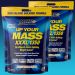MHP - UP YOUR MASS XXXL 1350 - ULTIMATE MASS BUILDING WEIGHT GAINER - 2 x 5400 G