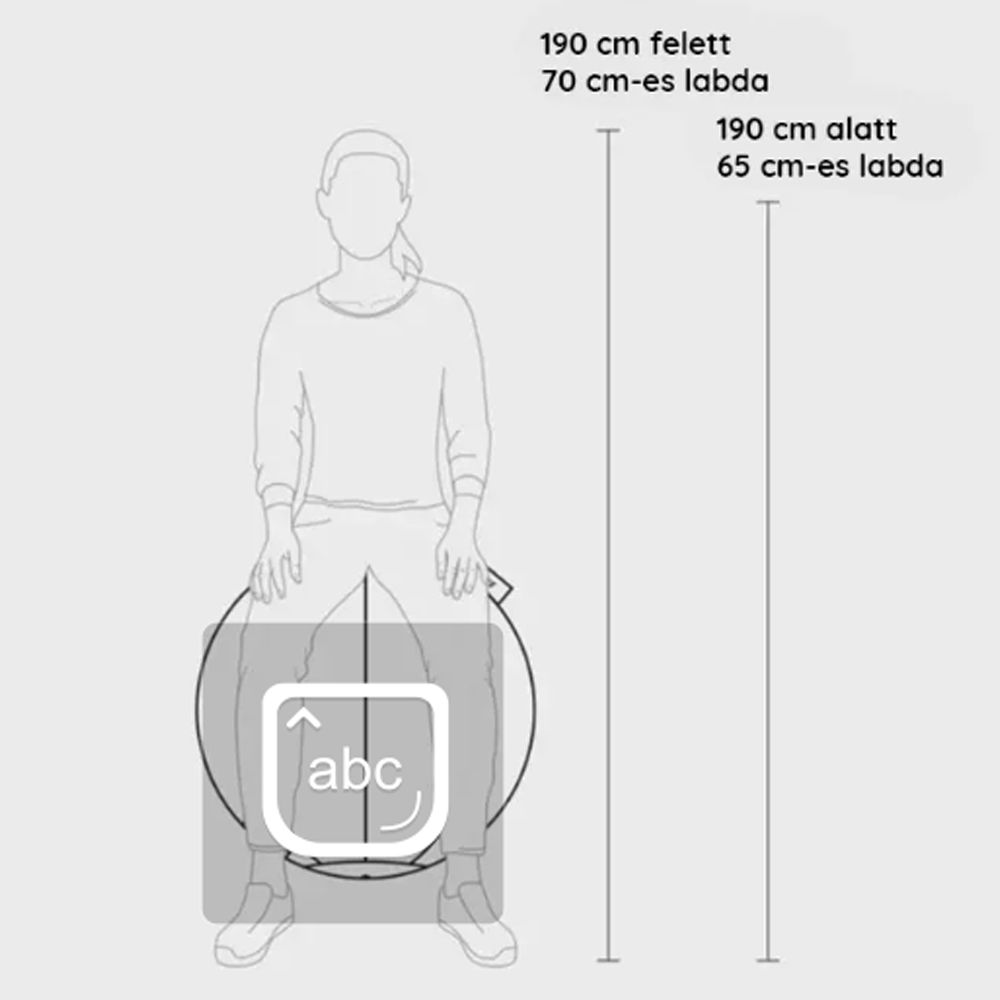 STRYVE - ACTIVE BALL - GYAPJÚ GIMNASZTIKAI LABDA - 65 CM 