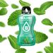 BOLERO - CLASSIC - INSTANT ITALPOR - 12 x 9G - MENTA ÍZ