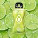 BOLERO - CLASSIC - INSTANT ITALPOR - 24 x 9G - LIME ÍZ