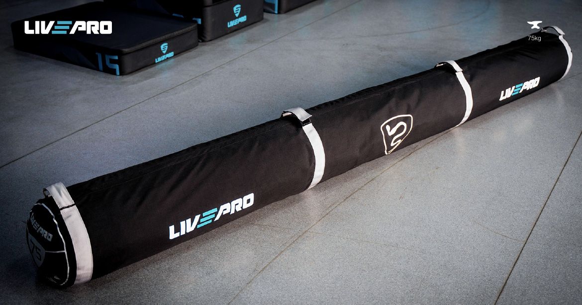 LIVEPRO - THE WORM - HENGER ALAKÚ ZSÁK - 75 KG LIVEPRO - THE WORM - HENGER ALAKÚ ZSÁK - 75 KG