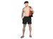 GORILLA WEAR - SARASOTA SWIM SHORT - FÉRFI FÜRDŐNADRÁG - FEKETE