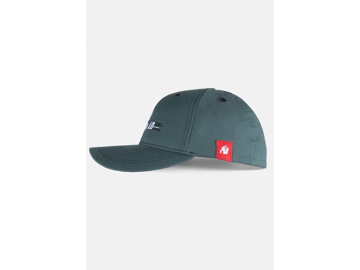 GORILLA WEAR - HAYS FLEXFIT CAP - BASEBALL SAPKA - PETROL KÉK GORILLA WEAR - HAYS FLEXFIT CAP - BASEBALL SAPKA - PETROL KÉK
