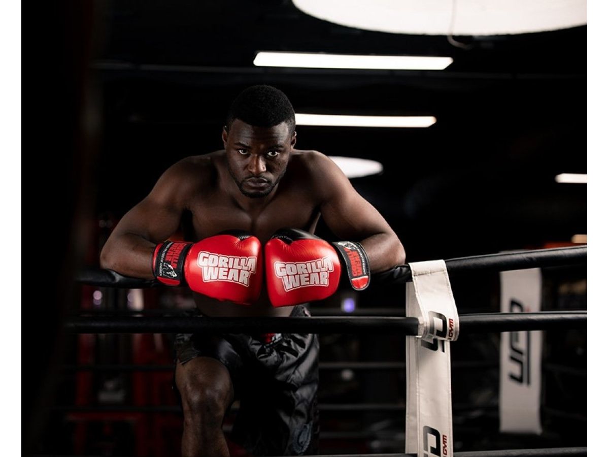 GORILLA WEAR - ASHTON PRO GLOVES - BOXKESZTYŰ - PIROS/FEKETE GORILLA WEAR - ASHTON PRO GLOVES - BOXKESZTYŰ - PIROS/FEKETE