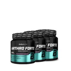BioTech USA - ARTHRO FORTE - ÍZESÍTETT ITALPOR - 3 x 340 G