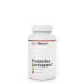 GYMBEAM - PROBIOTICS LACTOSPORE - 90 KAPSZULA