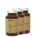 VANAVITA - BIO GINKGO BILOBA - 3 x 90 KAPSZULA