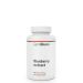 GYMBEAM - BLUEBERRY EXTRACT - 60 KAPSZULA
