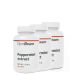 GYMBEAM - PEPPERMINT EXTRACT - 3 x 60 KAPSZULA