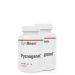 GYMBEAM - PYCNOGENOL - 2 x 60 KAPSZULA