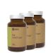 VANAVITA - BIO REISHI - 3 x 90 KAPSZULA