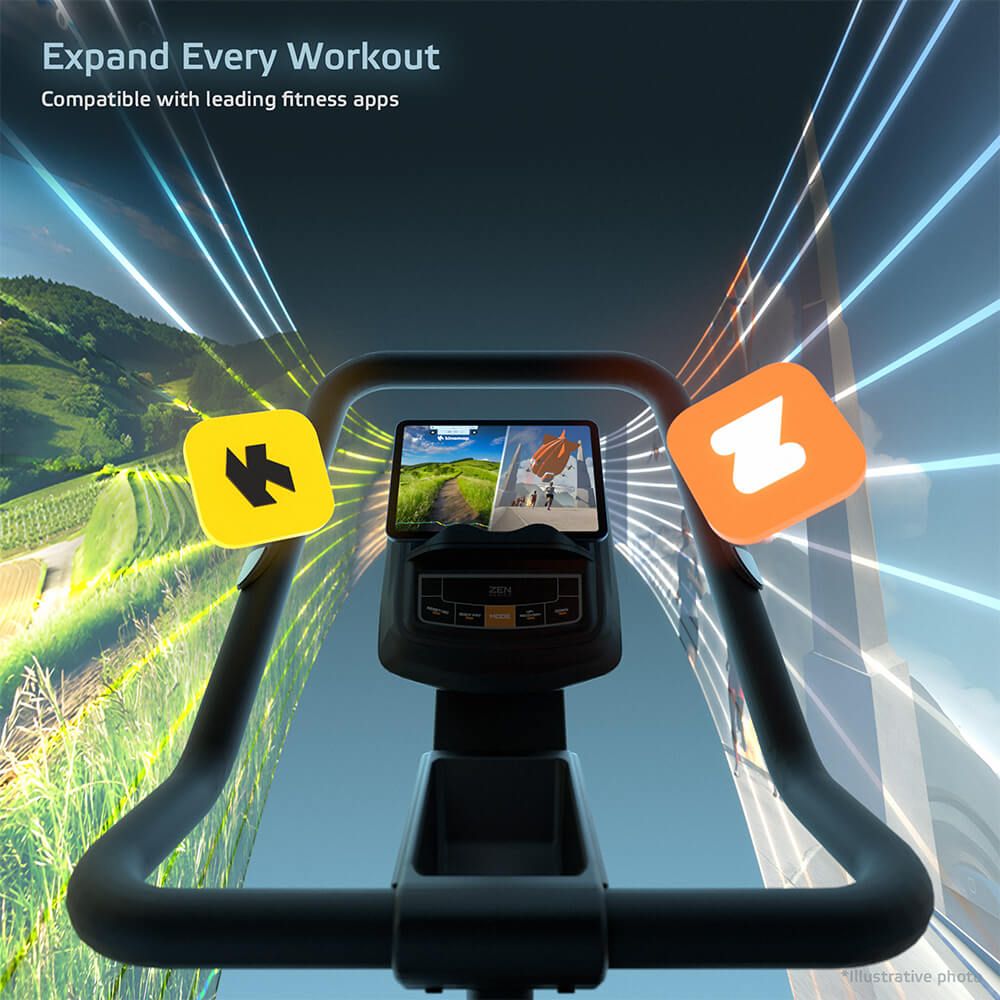 INSPORTLINE - STEPPER ZENPEAK 50