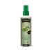 INTERNATIONAL COLLECTION - ONE CAL SPRAY OLIVE - ÍZESÍTETLEN - 190 ML