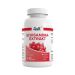 ZEC+ - HEALTH+ SCHISANDRA-EXTRACT - 90 KAPSZULA