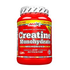 AMIX - CREATINE MONOHYDRATE - 750 G