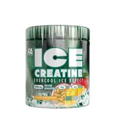 FA - ICE CREATINE - 300 G